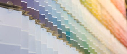 paint-consultation-pic