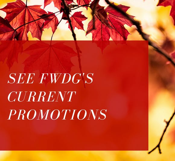 FWDG Furniture Warehouse Design Gallery Beaufort, SC