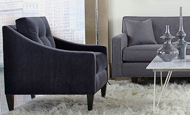 Furniture Northern Virginia Alexandria Arlington Living Room